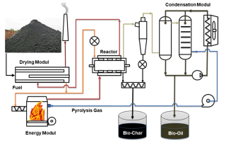 66fa25582ffcafcbe467a4af 66fa24ecc50a28b58f3799b2 Function of AFP engl